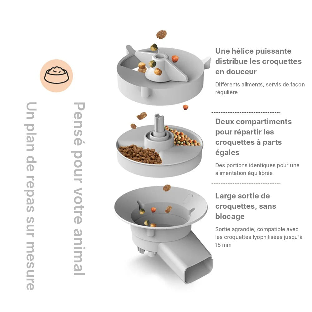 Distributeur Automatique de Croquettes 5 L – WiFi & Caméra