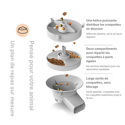 Distributeur Automatique de Croquettes 5 L – WiFi & Caméra