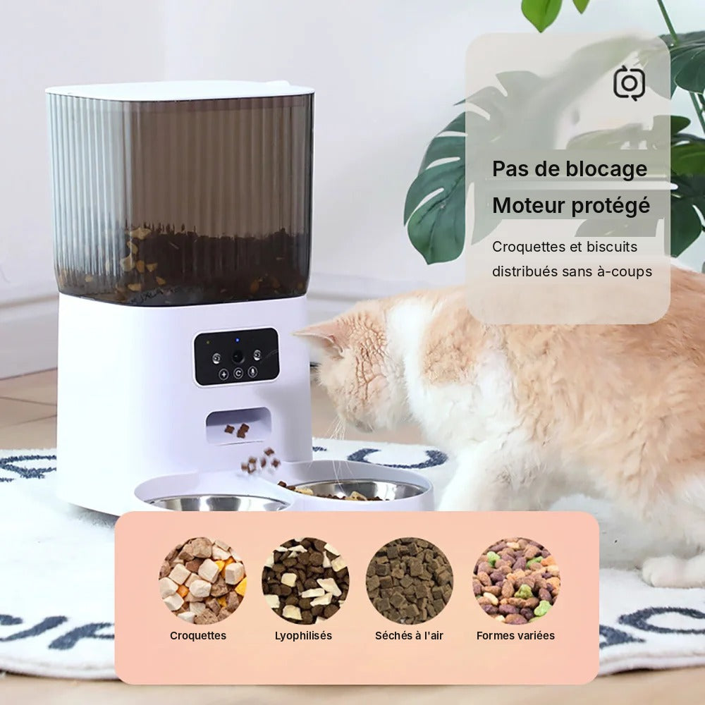 Distributeur Automatique de Croquettes 5 L – WiFi & Caméra
