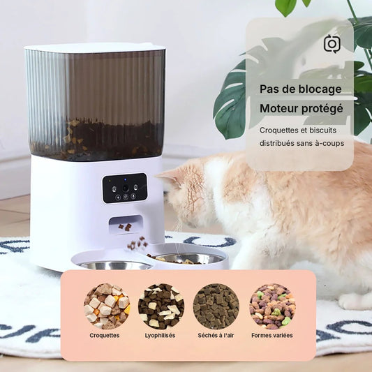 Distributeur Automatique de Croquettes 5 L – WiFi & Caméra